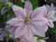 Macro 2